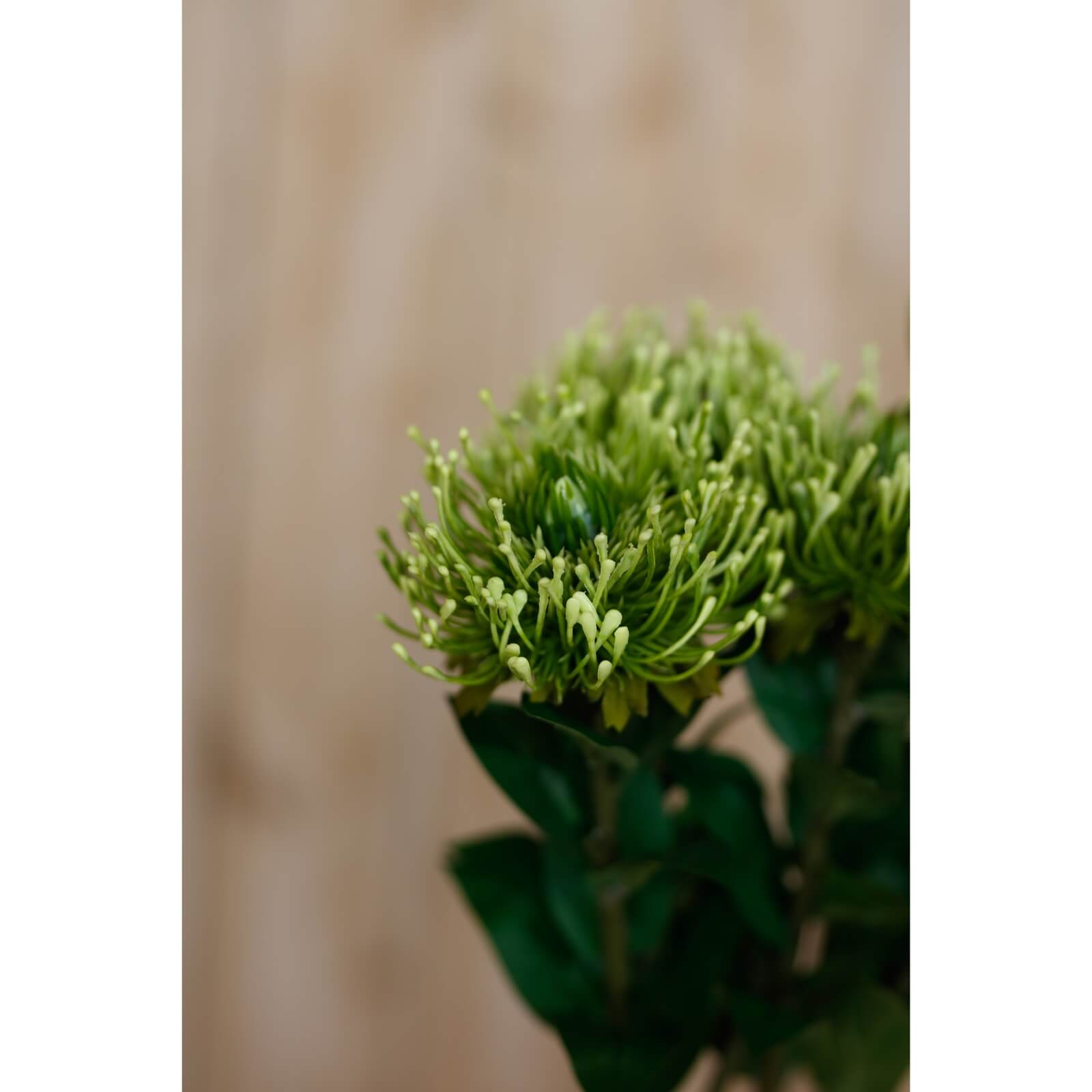 Lush Green Faux Protea Stem