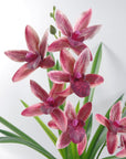 Artificial Flowers Orchid Black Ceramic Planter Dark Pink 50cm-3