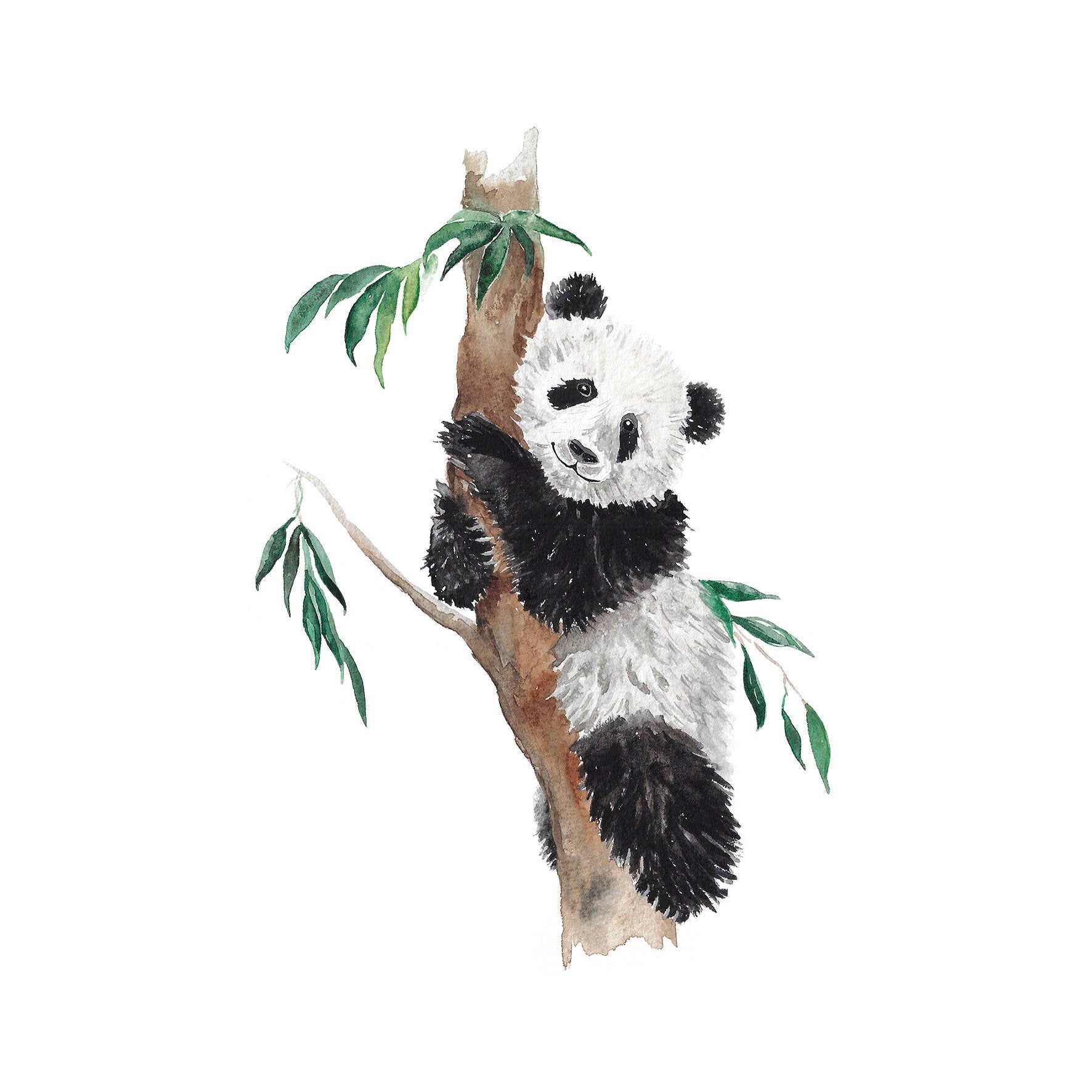 Panda Bear hand painted greetings card