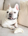 Dim Sum Pop enrichment dog toy