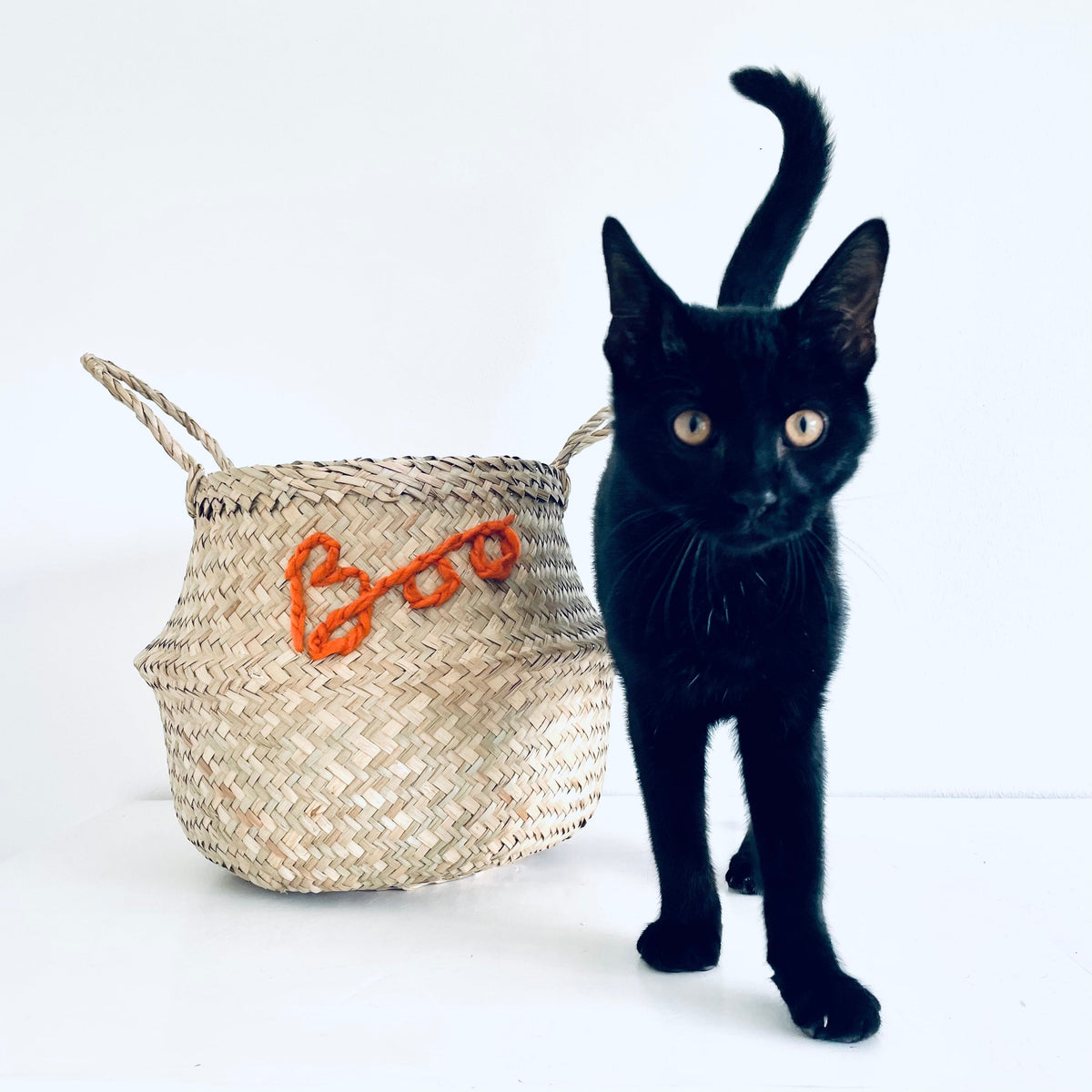 Spider basket - Medium (Halloween)