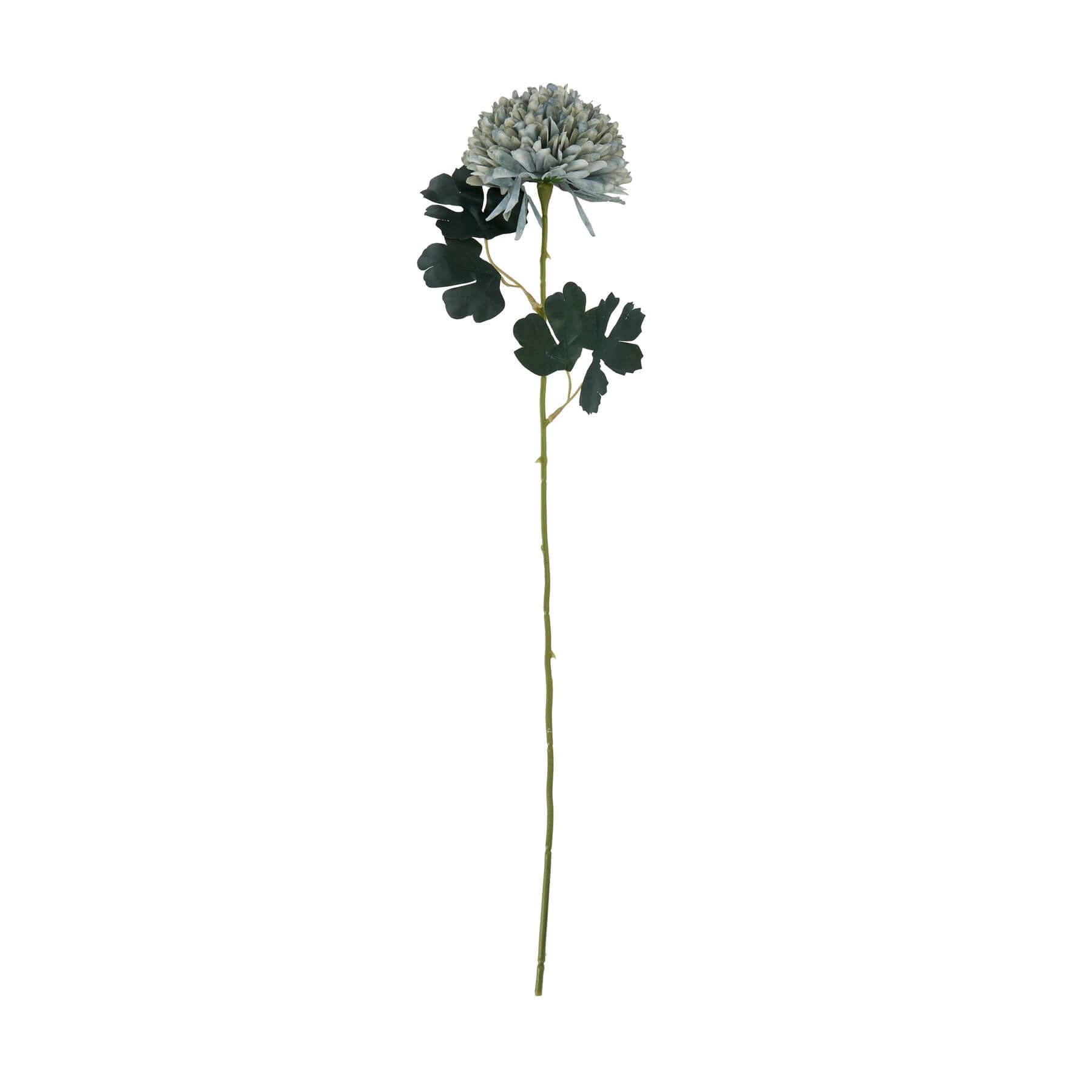Chrysanthemum Stem in Teal Sage