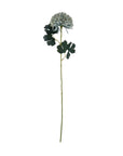 Chrysanthemum Stem in Teal Sage