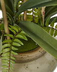 White Orchid in Ceramic Pot