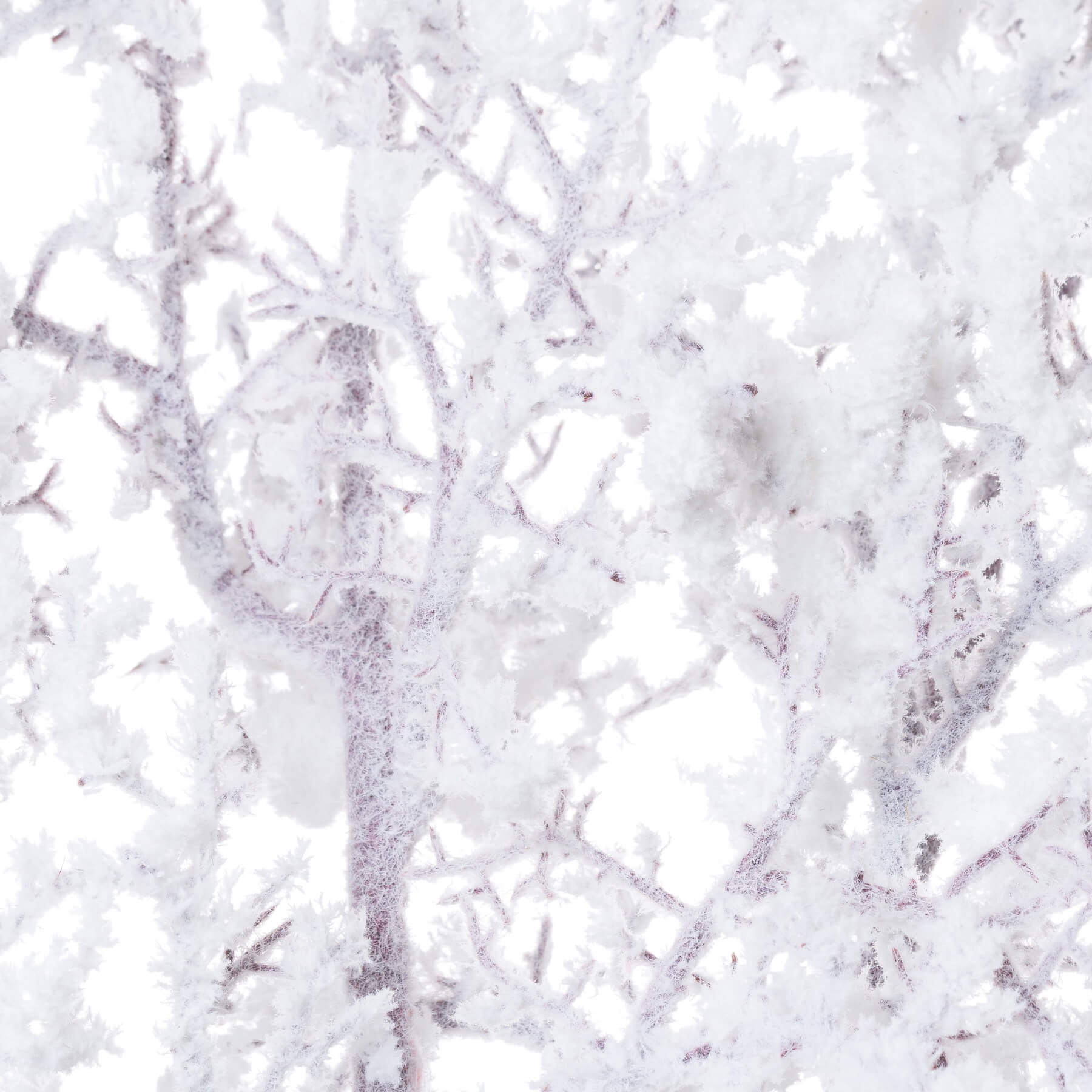 Snow Kissed Winter Branch Decor for Indoor Frosted Style
