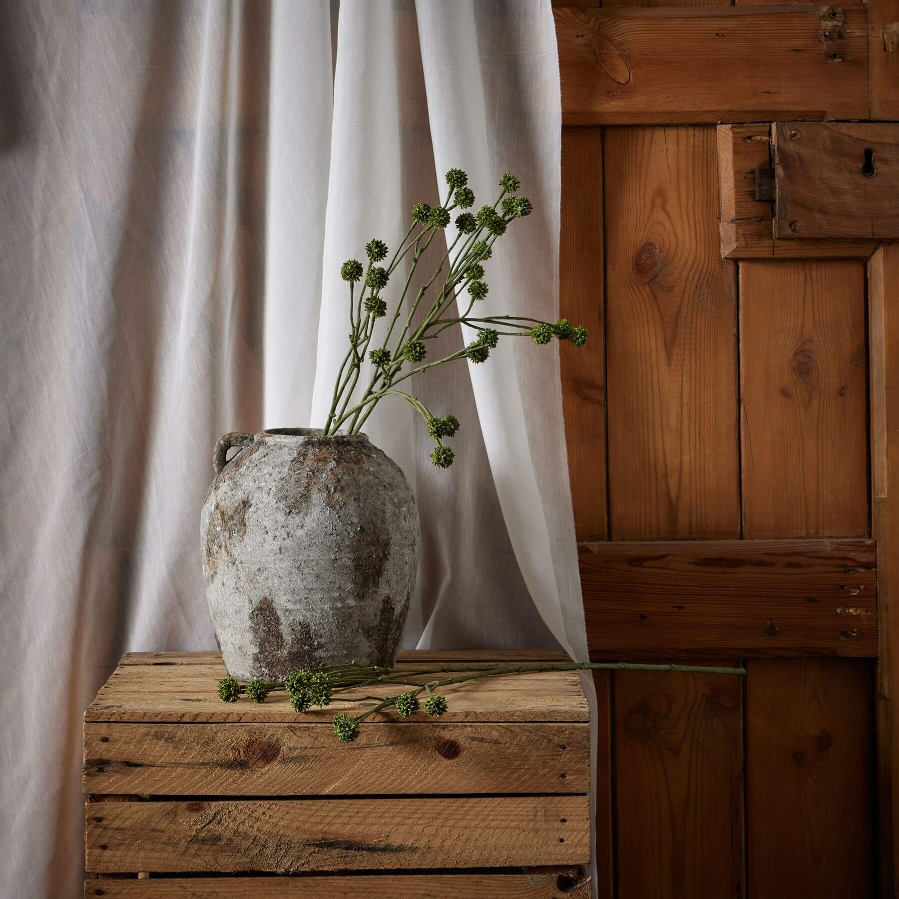 Fresh Green Craspedia Stems | Natural Floral Decor