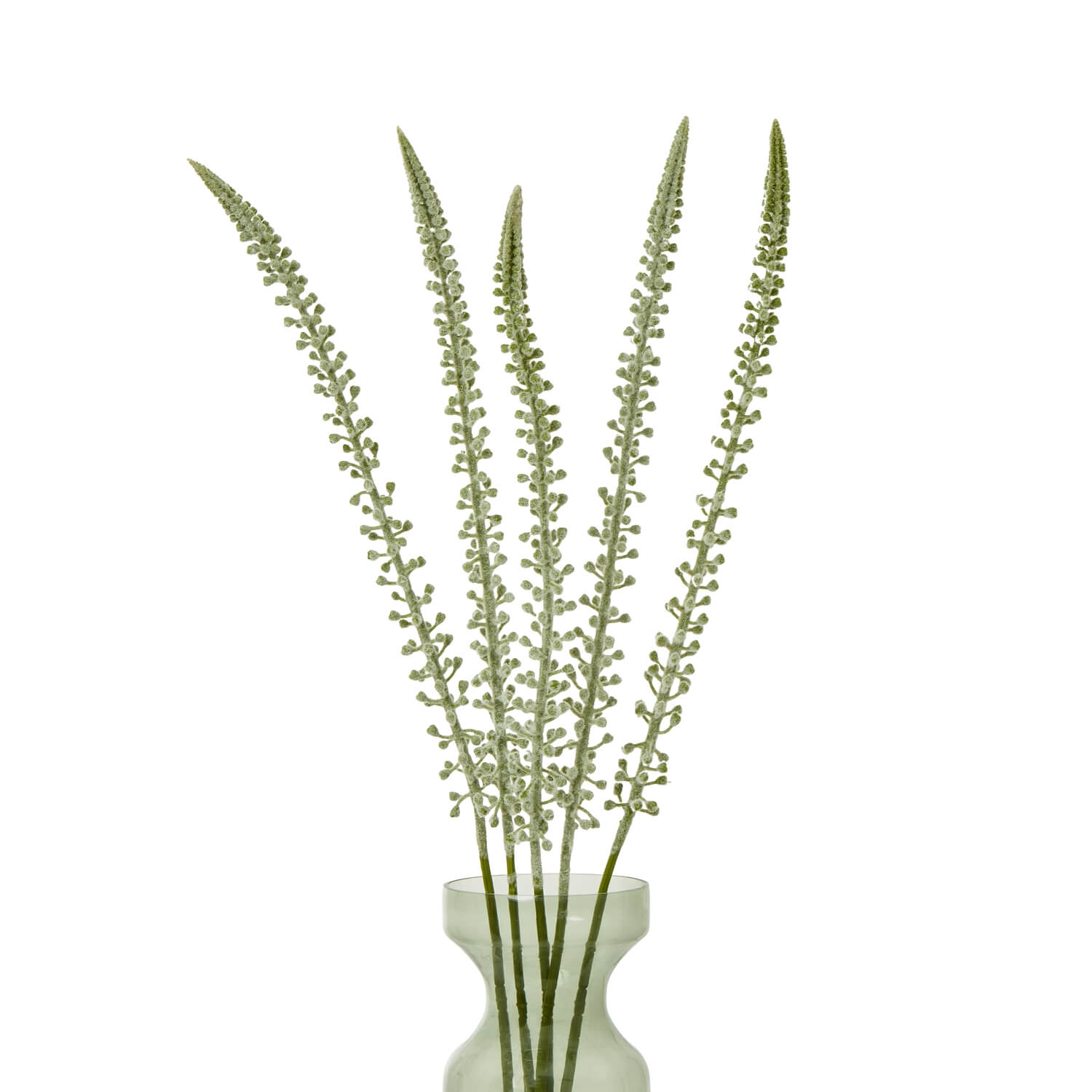 Faux White Eremurus Stem Floral Accent