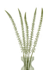 Faux White Eremurus Stem Floral Accent