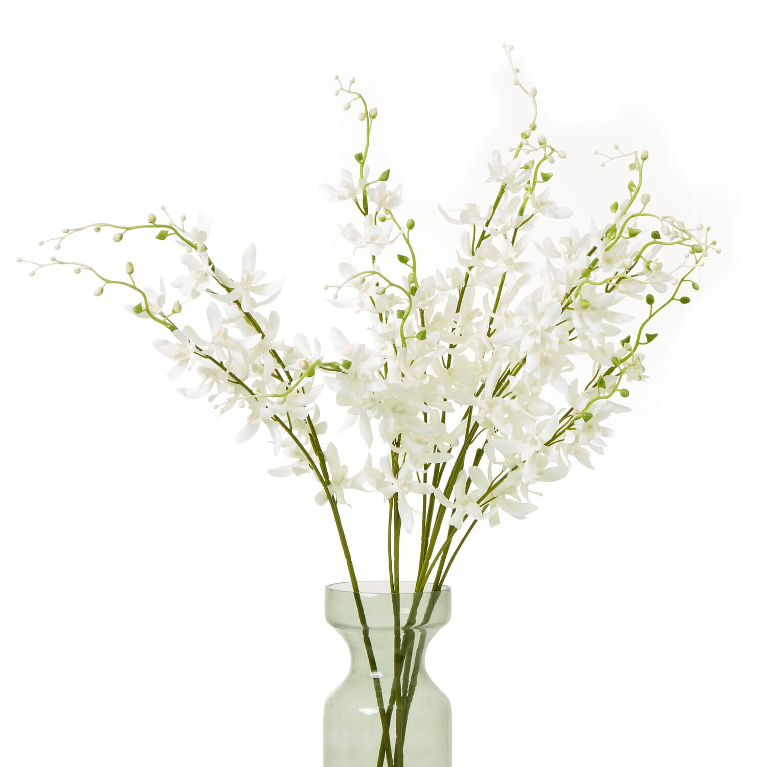 Elegant White Cymbidium Orchid Spray | Fresh Floral Beauty