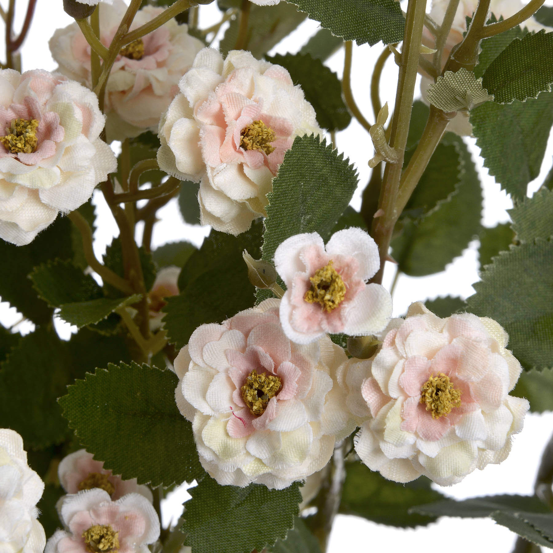 Cream Wild Rose Stem Faux Bloom
