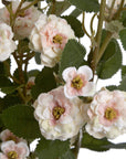Cream Wild Rose Stem Faux Bloom