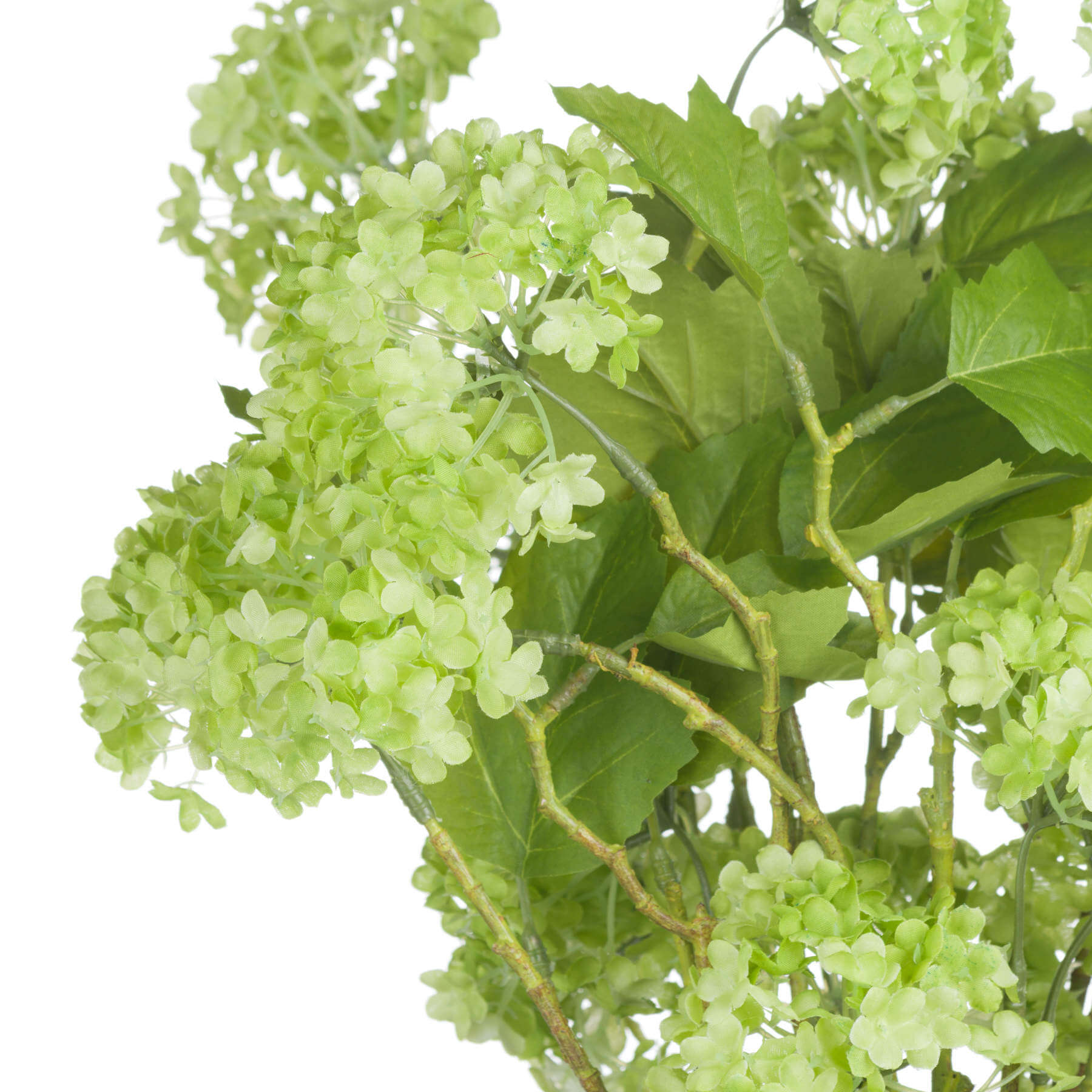 Fresh Green Viburnum Spray | Natural Floral Decor