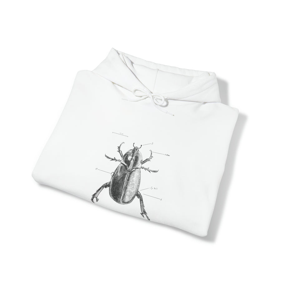 Graphic Insect Print Unisex Hooded Sweatshirt
