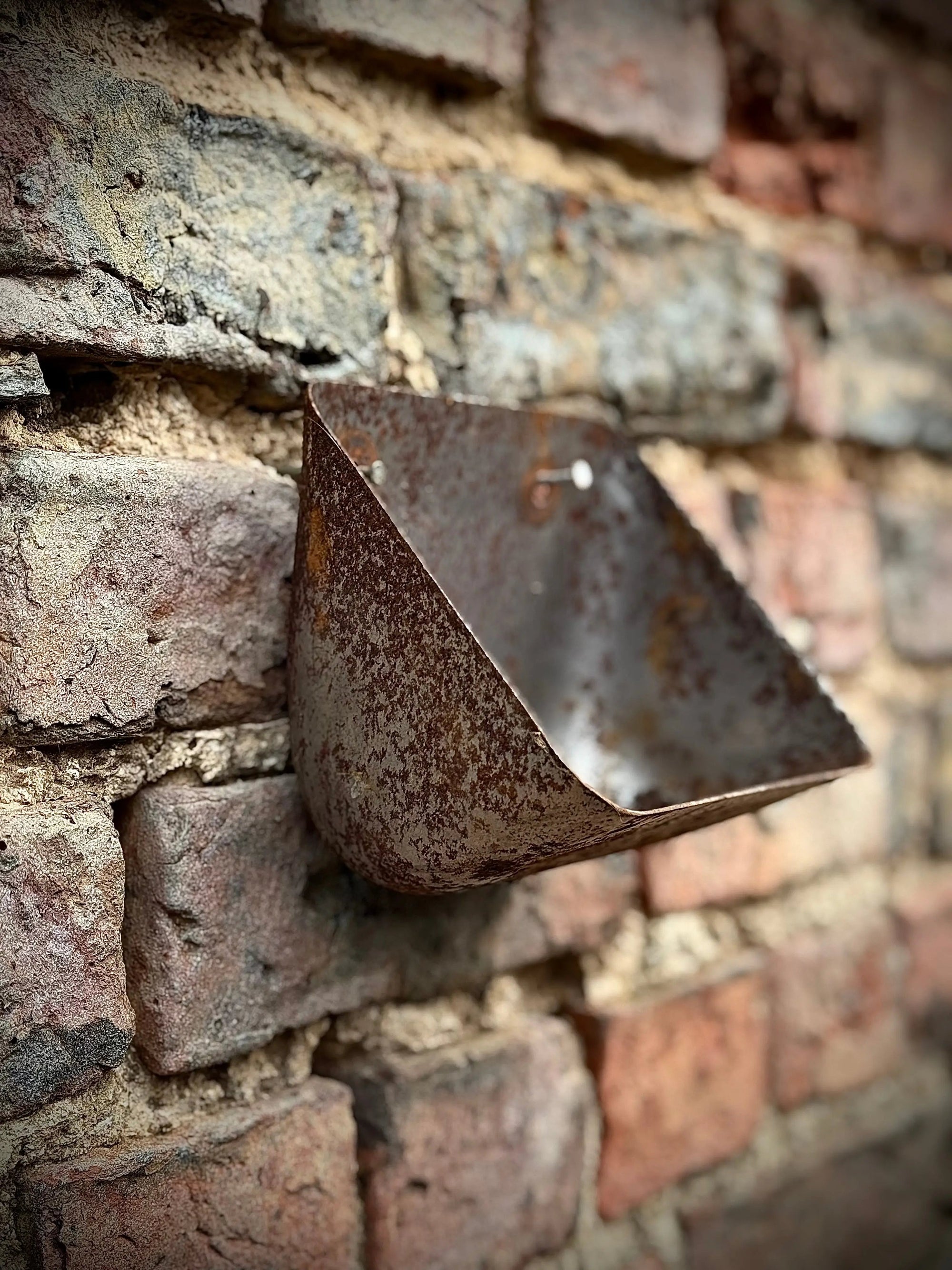 Vintage Rusty Metal Wall Mounted Planter / Herb Planter / Plant Pot / Key Holder