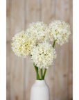 Cream Allium Faux Flower Stem for Stylish Home Decor