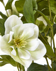 Faux White Hellebore in Ceramic Pot