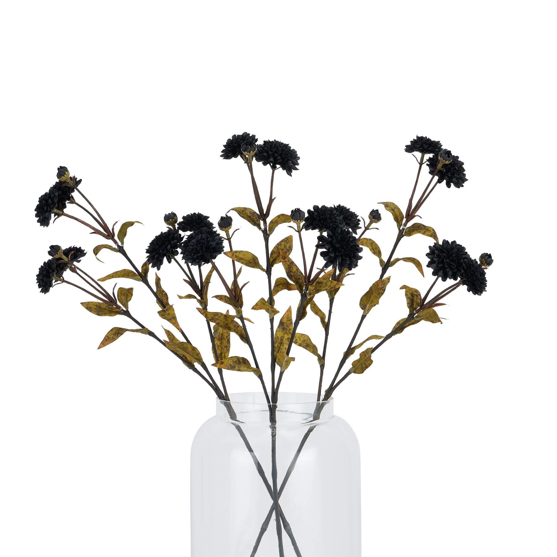Noir Chrysanthemum Stem for Dramatic Home Decor