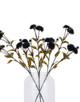 Black Chrysanthemum Stem Spray