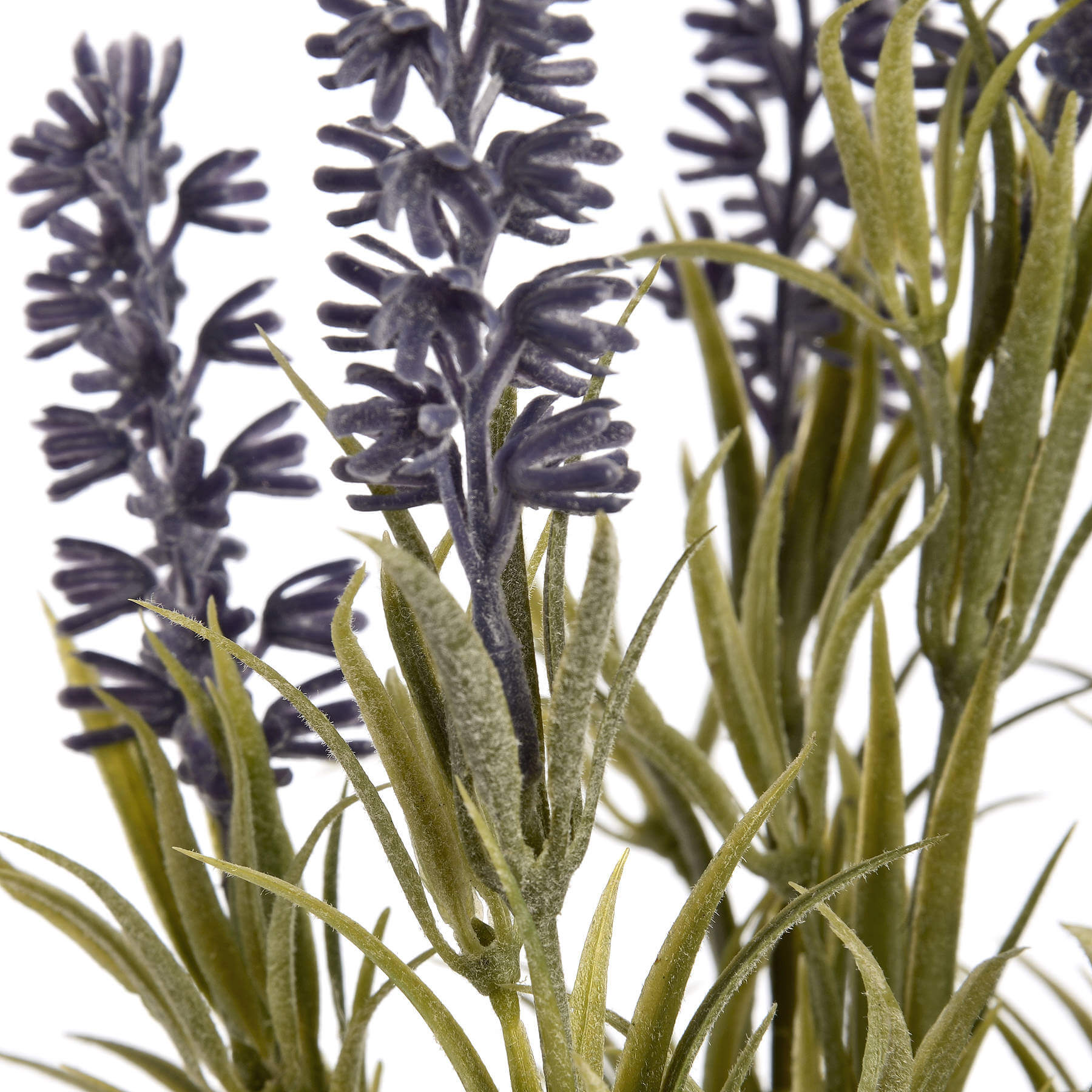 Soothing Lavender Mist | Travel-Size Relaxation
