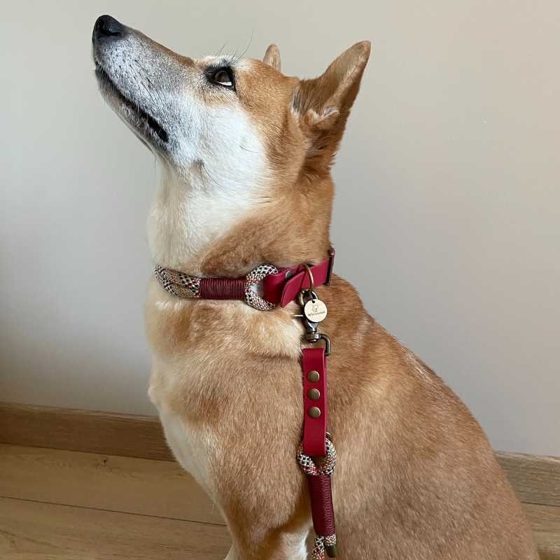 Kitsuné Tartan Red Paracord &amp; Biothane Dog Collar