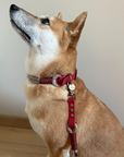 Kitsuné Tartan Red Paracord & Biothane Dog Collar
