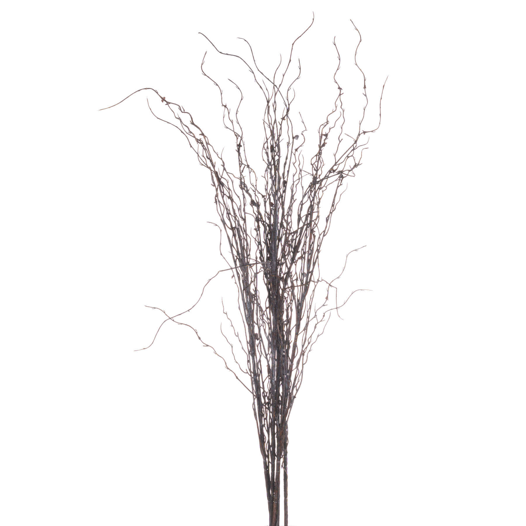 Fresh Branch Spray | Natural Air Freshener