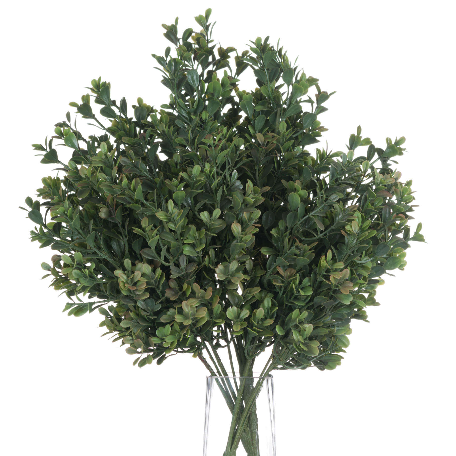 Vibrant Red-Tipped Leaf Spray | Stunning Foliage Accent