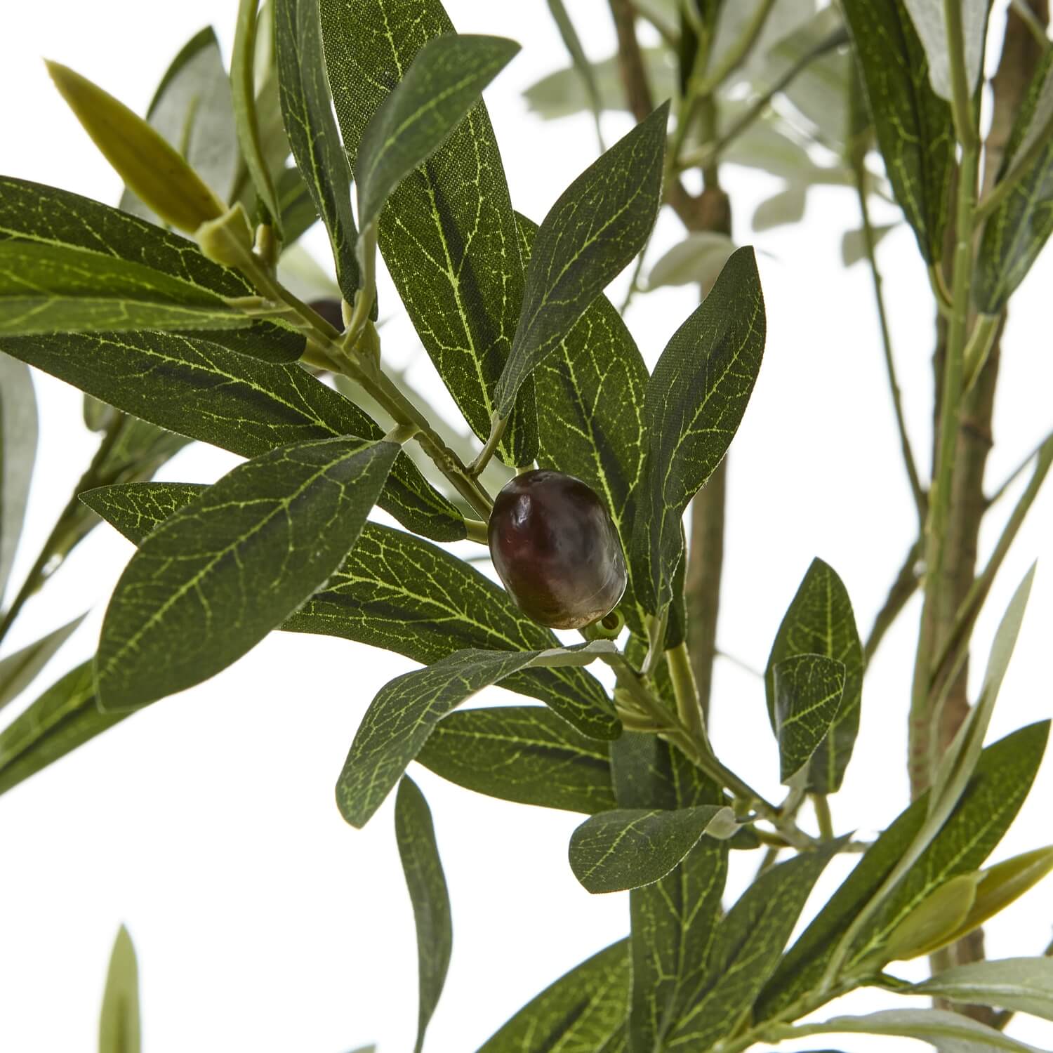 200cm Olive Tree in White Pot Mediterranean Style Indoor Plant