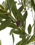 200cm Olive Tree in White Pot Mediterranean Style Indoor Plant