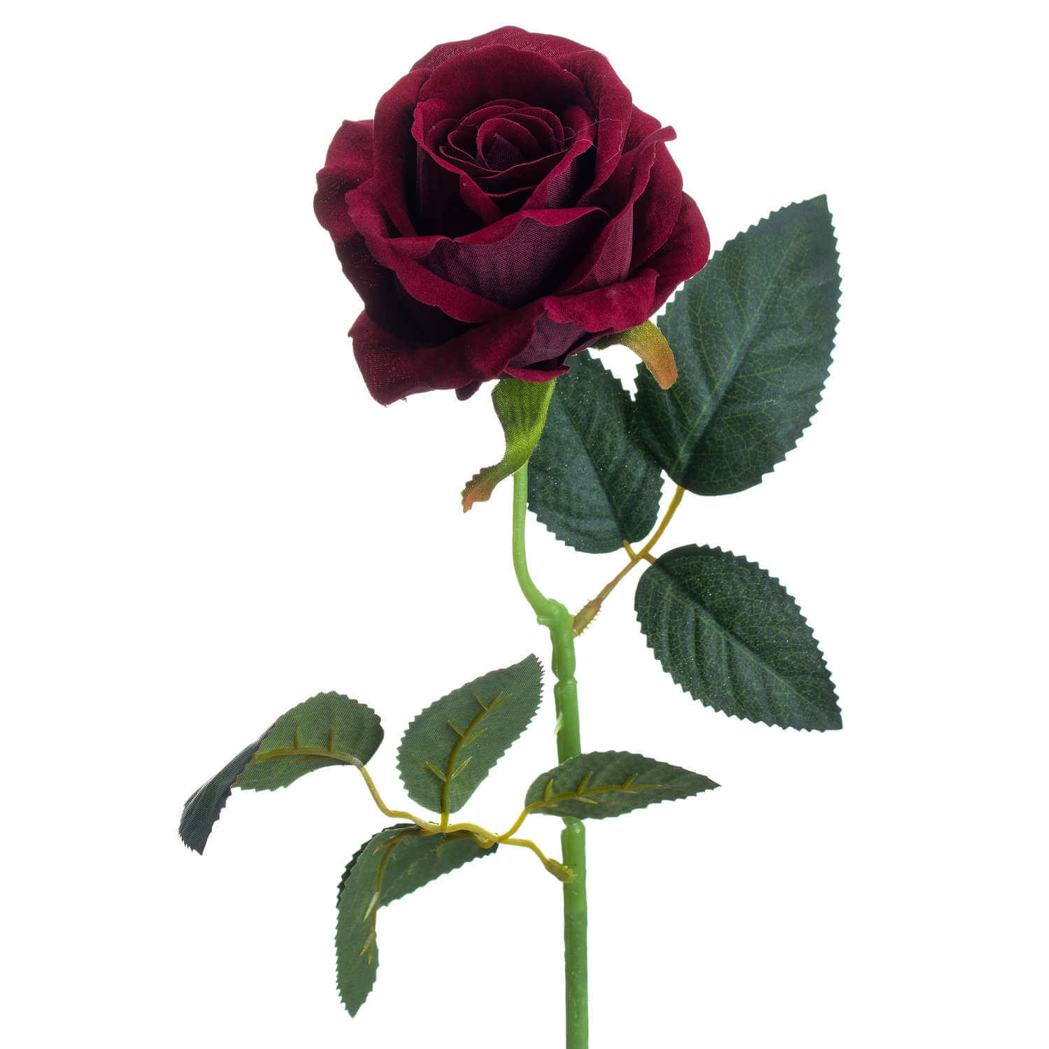 Luxurious Deep Red Rose | Elegant &amp; Timeless