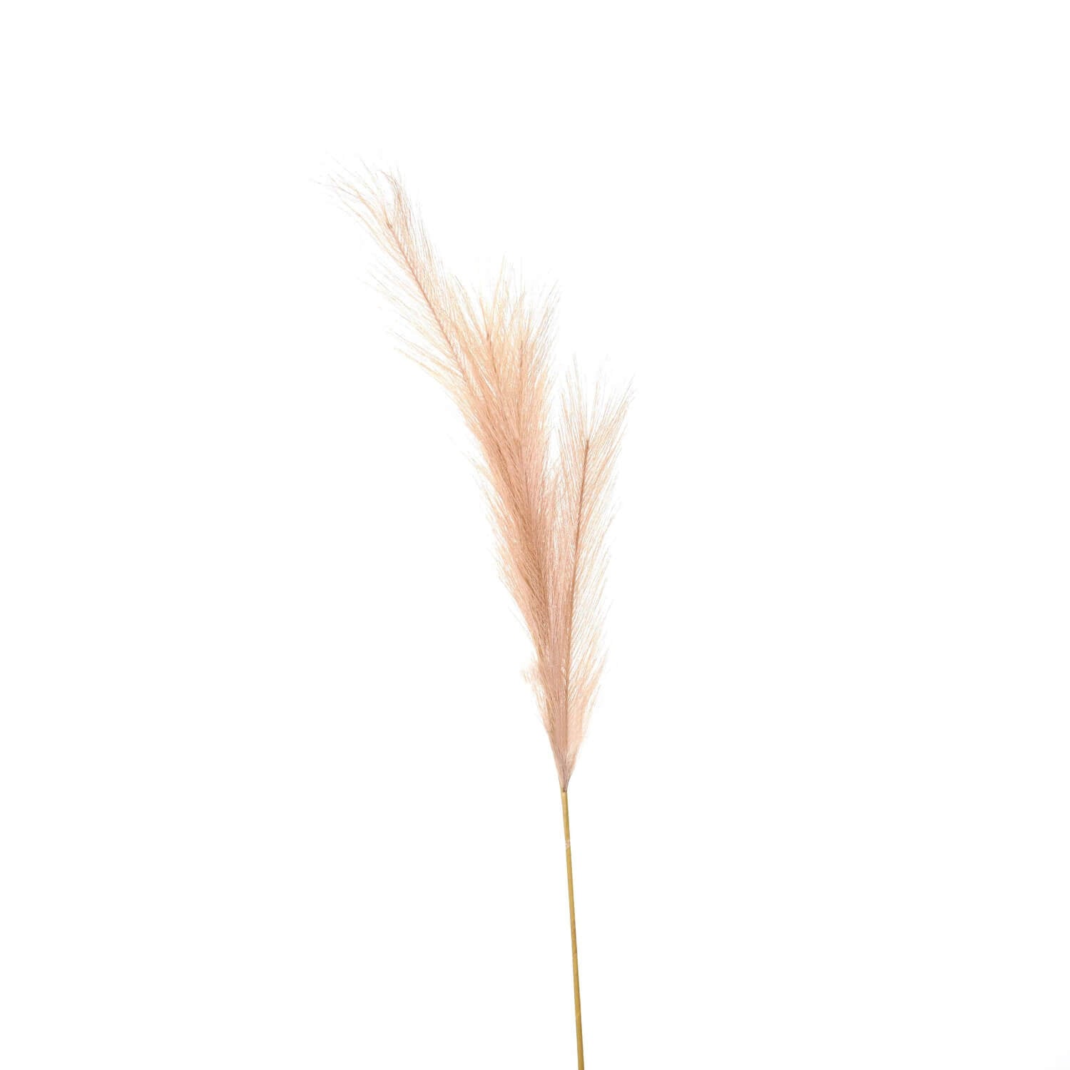 Luxury Faux Pampas Grass Stem | Boho Home Decor