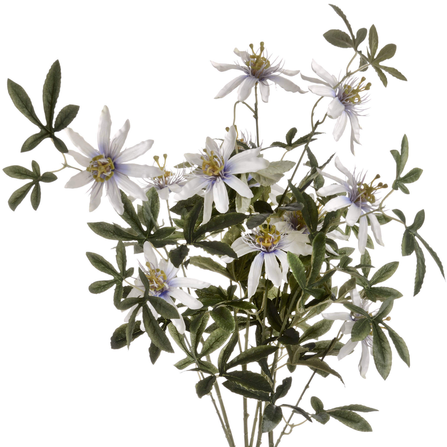 Calming Passion Flower Mist | Natural Relaxation Spray