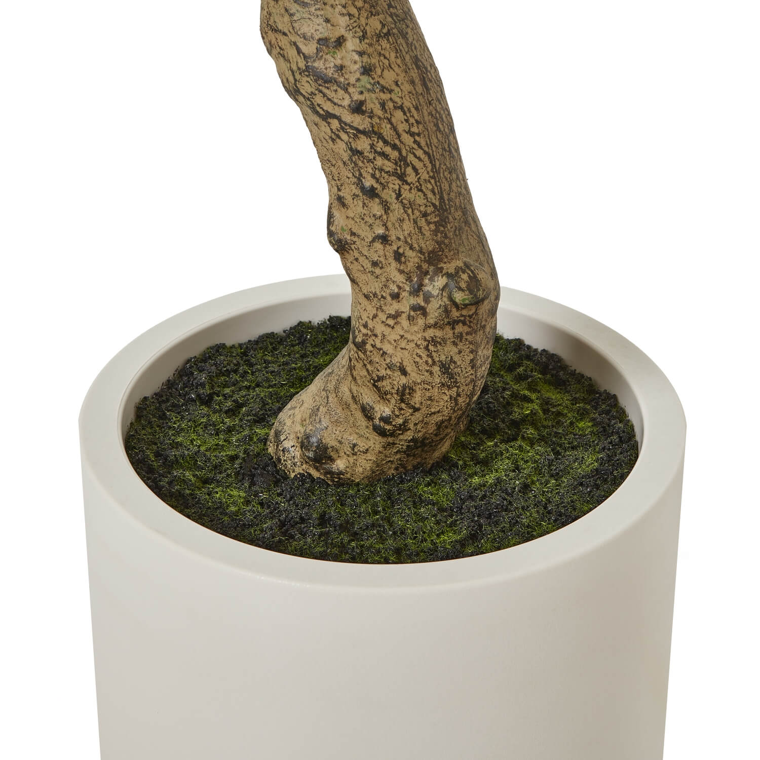 Mediterranean Style 200cm Olive Tree with White Pot