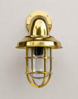 Wells Solid Brass Caged Swan Neck Wall Light - IP65