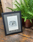 Framed Antique Anatomy Print 1920s Medical Book Plate Wall Art Picture D