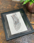 Framed Antique Anatomy Print 1920s Medical Book Plate Wall Art Picture I
