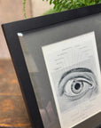 Framed Antique Anatomy Print 1920s Medical Book Plate Wall Art Picture D