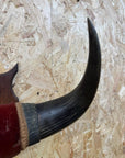 Vintage Buffalo Horns / Mounted Horns / Hat Coat Hooks / Taxidermy Mancave Bar
