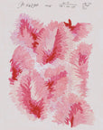 No.032 - Venus Plumes - Vintage Archive Poster Prints