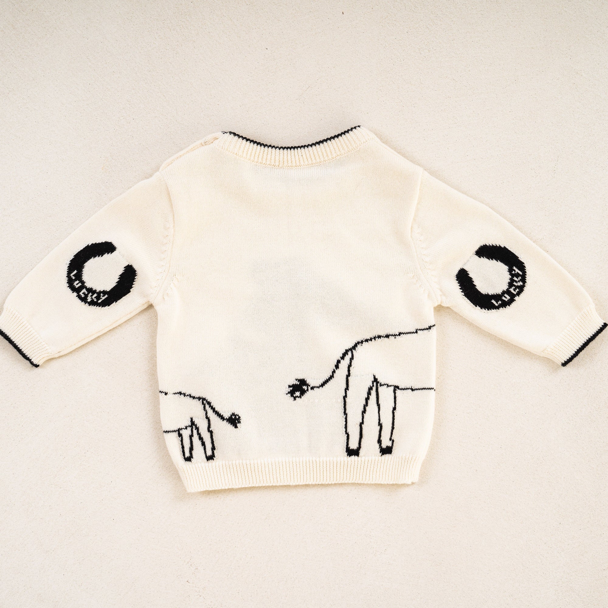 Horse Jumper