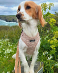 Luxe Adjustable Harness - Toffee Latte Petals