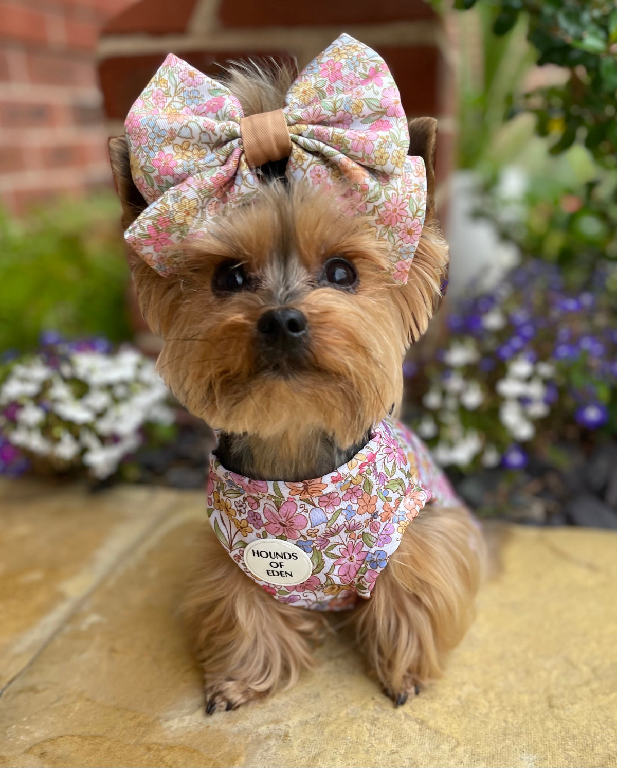 Pastal Petals Dog Cooling Vest
