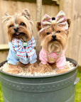 Eden's Orchard - Dog Sailor Bow Tie