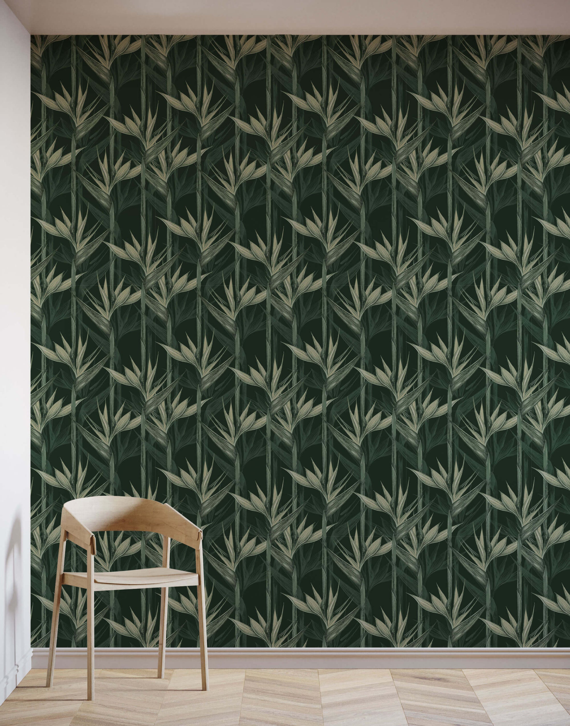 Bird of Paradise Wallpaper Amazonia