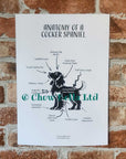 Anatomy of a Cocker Spaniel Print