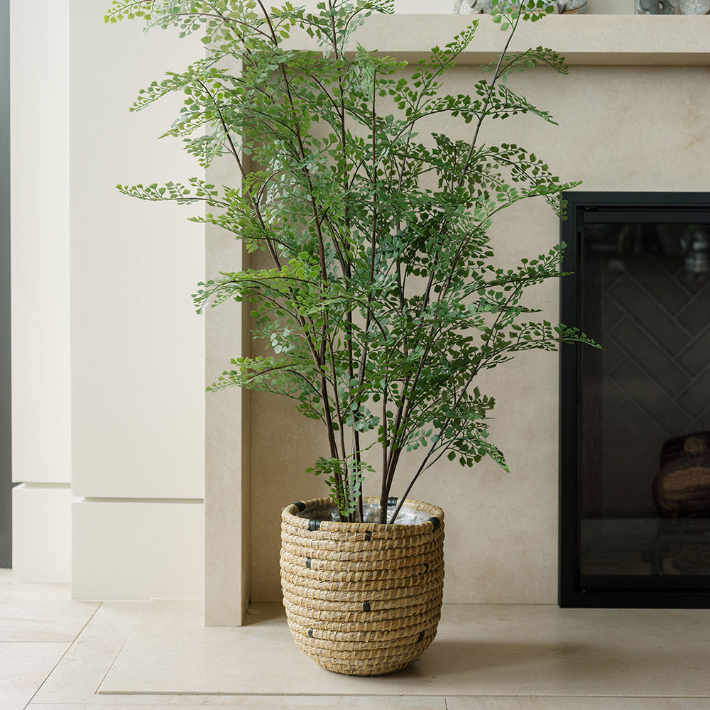 Faux Maidenhair Fern Plant, 48"