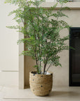 Faux Maidenhair Fern Plant, 48"