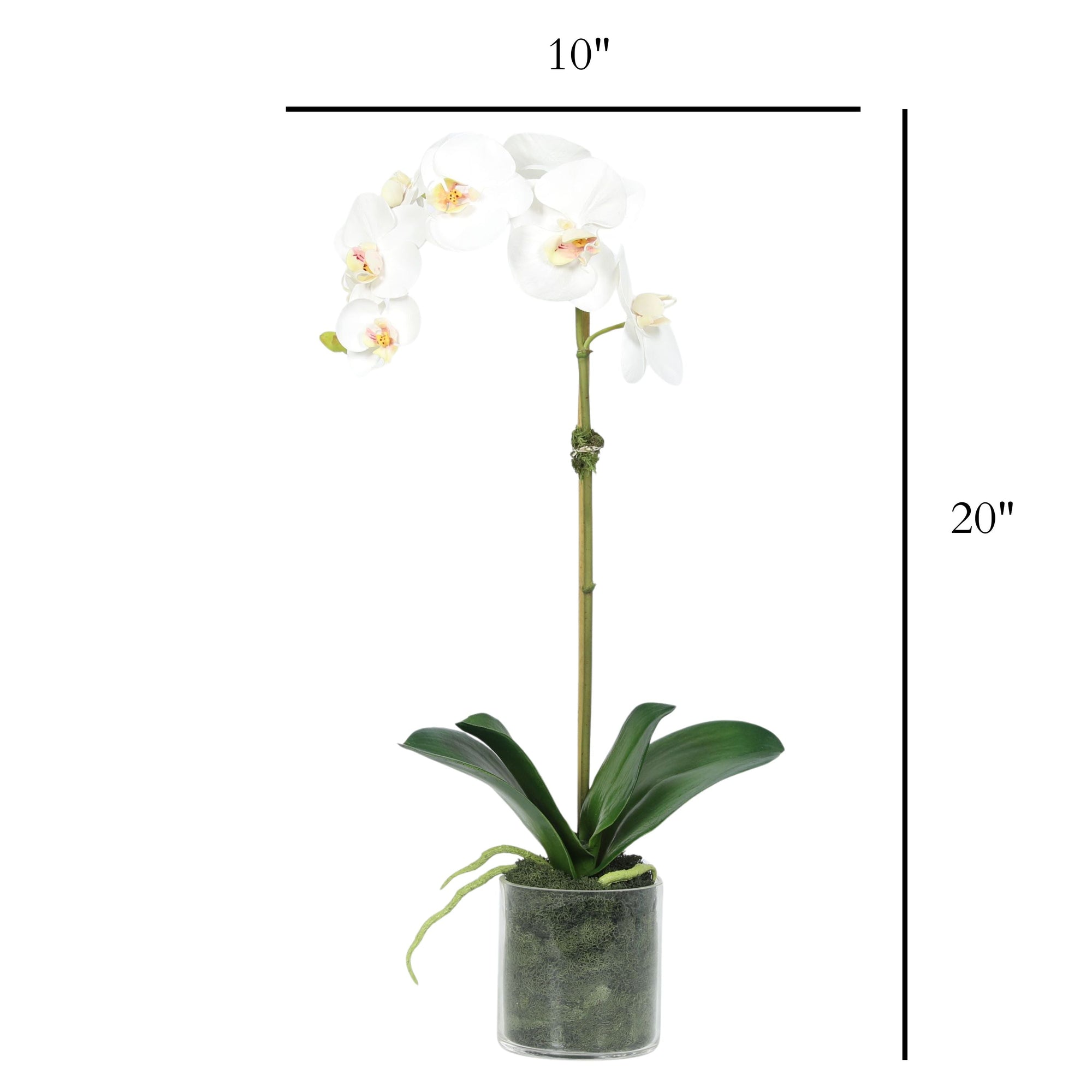 Artificial Orchid Plant in Vase - 20"