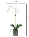 Artificial Orchid Plant in Vase - 20"