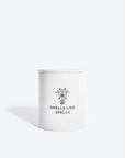 Wheel of Fortune Scented Candle in Porcelain